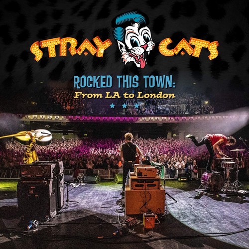 Stray cats rocked this - stray,